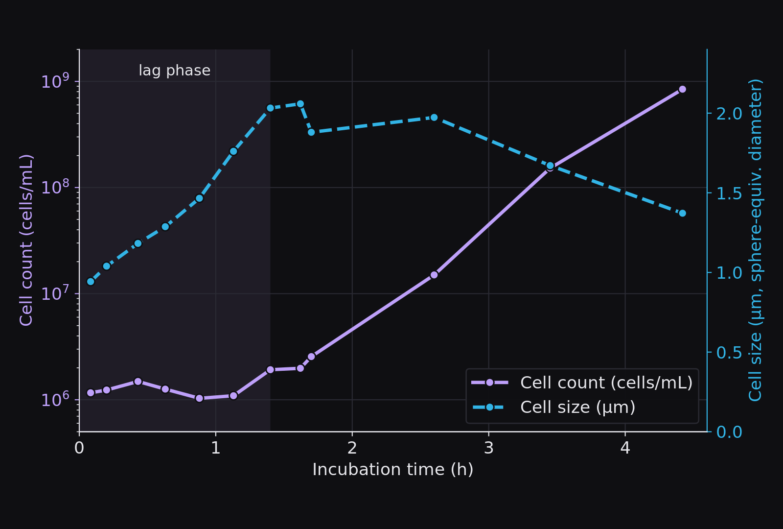 Measuring bacterial cell size
